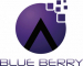  Internship at Blue Berry E-Services Private Limited in Noida