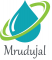  Internship at Mrudujal Technologies in Pune