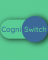 Internship at Cogniswitch Technologies Private Limted in 