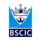  Internship at BSCIC Certifications Private Limited in Faridabad