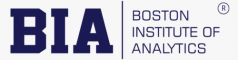  Internship at Boston Institute Of Analytics in Mumbai