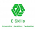 E-Skills Web