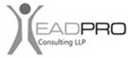 HeadPro Consulting