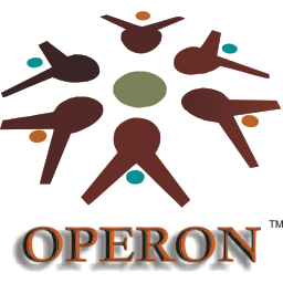 Operon Biotech And Healthcare