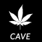 Cave International