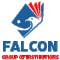 Falcon Group Of Institutions