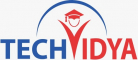 TechVidya Career Private Limited