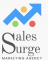  Internship at Sales Surge Australia (Sydney, Australia) in 