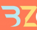 BZ Consultant