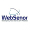Human Resources Internship at WebSenor InfoTech in Udaipur