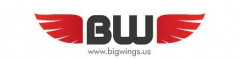 Big Wings LLC