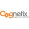 Consultant Internship at Cognetix India Pvt Ltd in 