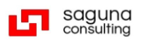 Research Analytics Internship at Saguna Consulting Services Private Limited in Ludhiana